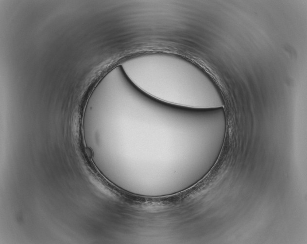 X0000113020445200908271037