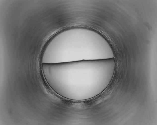 X0000113020446200908271037