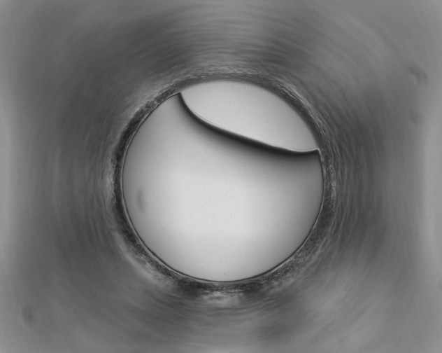 X0000113020447200908271037