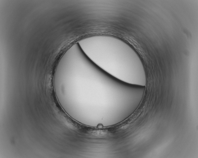 X0000113020449200908271037