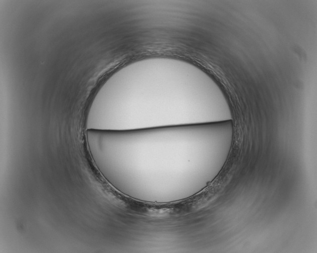 X0000113020450200908271037