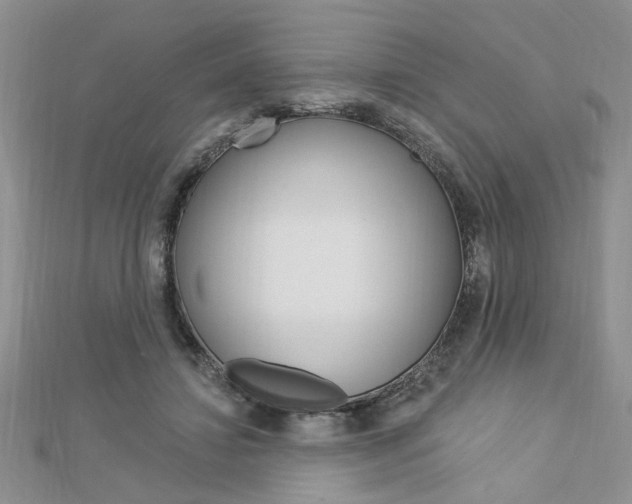 X0000113020452200908271037