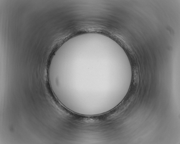 X0000113020453200908271037