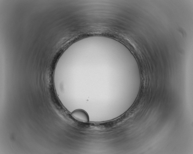 X0000113020455200908271037