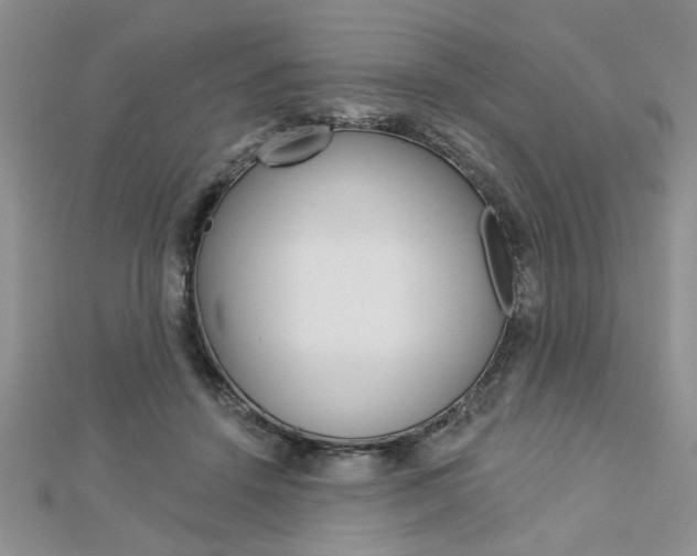 X0000113020456200908271037