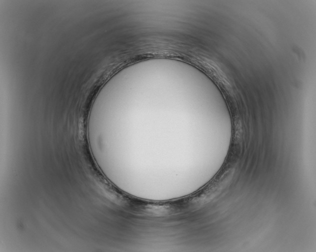 X0000113020457200908271037
