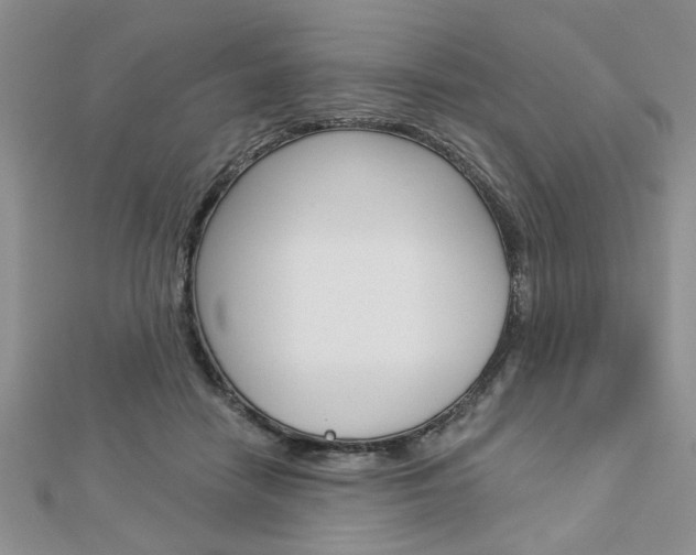 X0000113020458200908271037