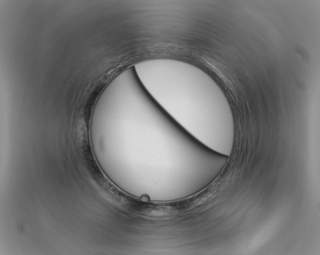 X0000113020459200908271037