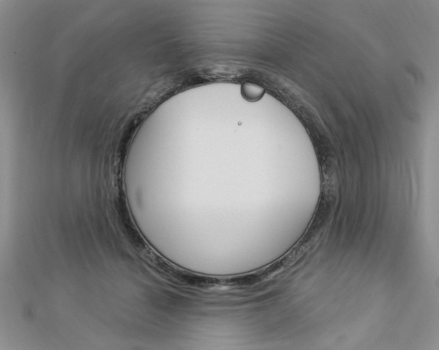 X0000113020460200908271037