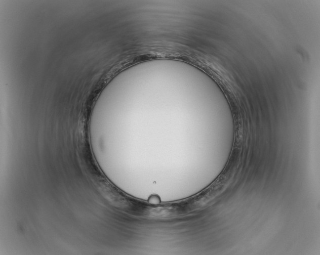 X0000113020461200908271037