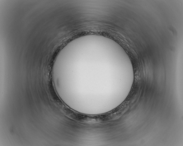 X0000113020464200908271037