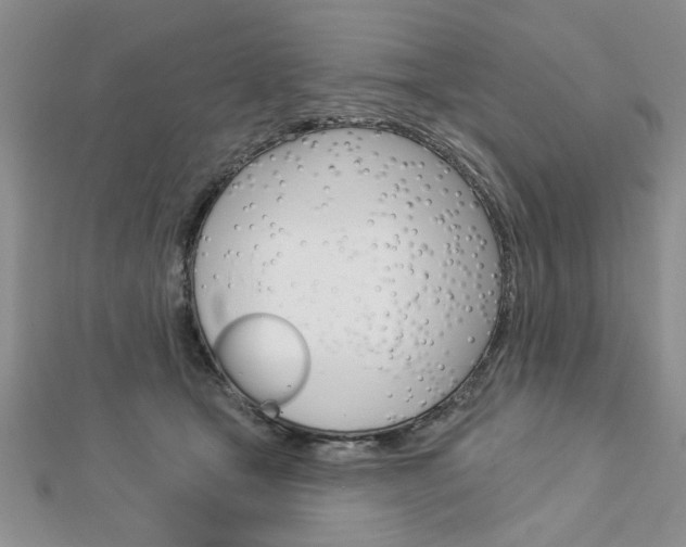 X0000113020465200908271037