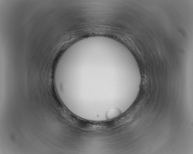 X0000113020466200908271037