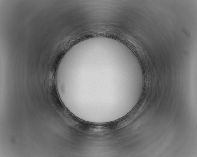 X0000113020467200908271037