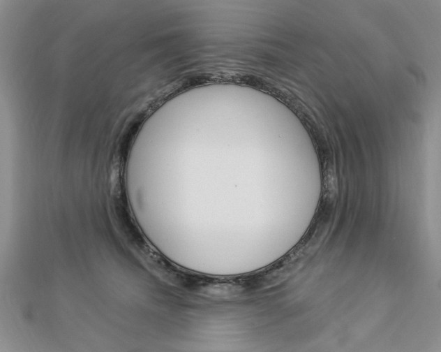 X0000113020468200908271038