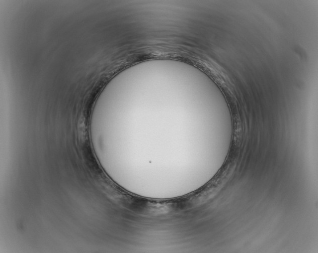 X0000113020469200908271038
