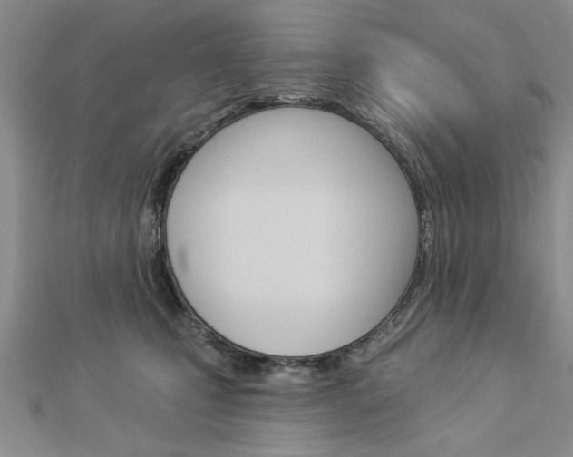X0000113020471200908271038