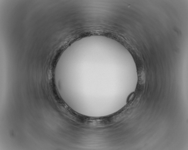 X0000113020472200908271038