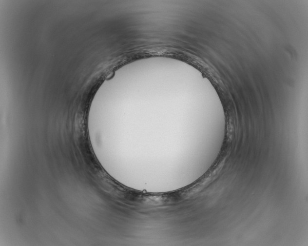 X0000113020473200908271038