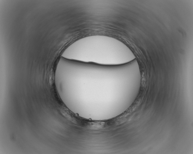 X0000113020474200908271038