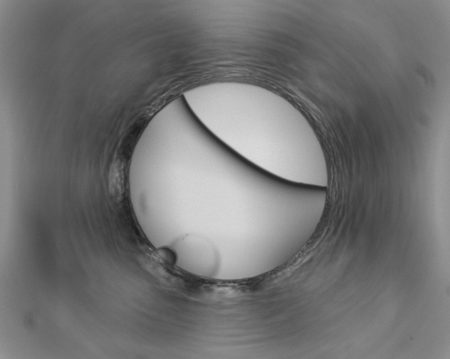 X0000113020475200908271038