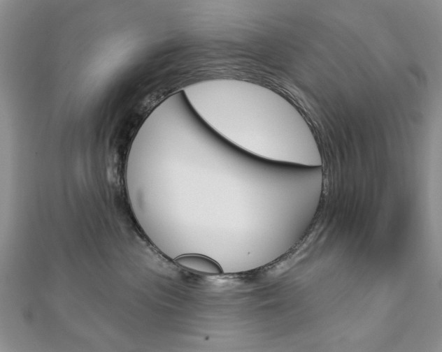 X0000113020477200908271038