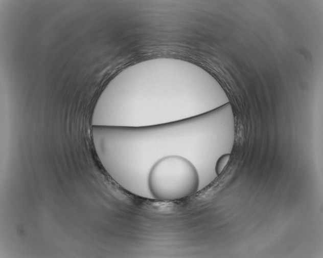 X0000113020478200908271038