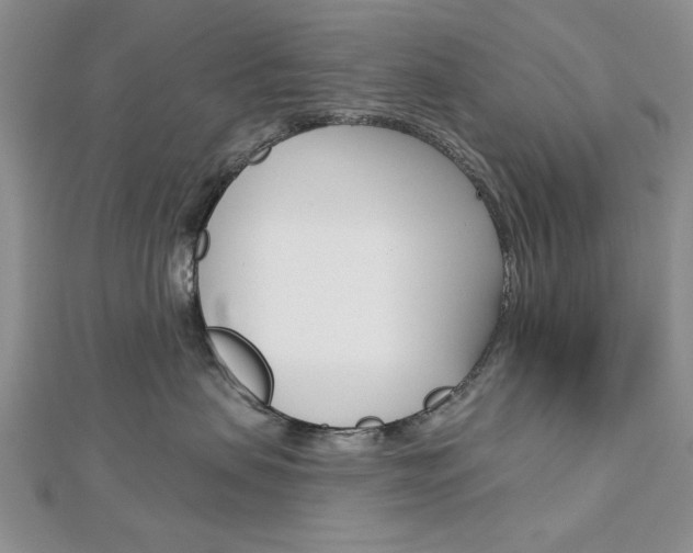 X0000113020479200908271038