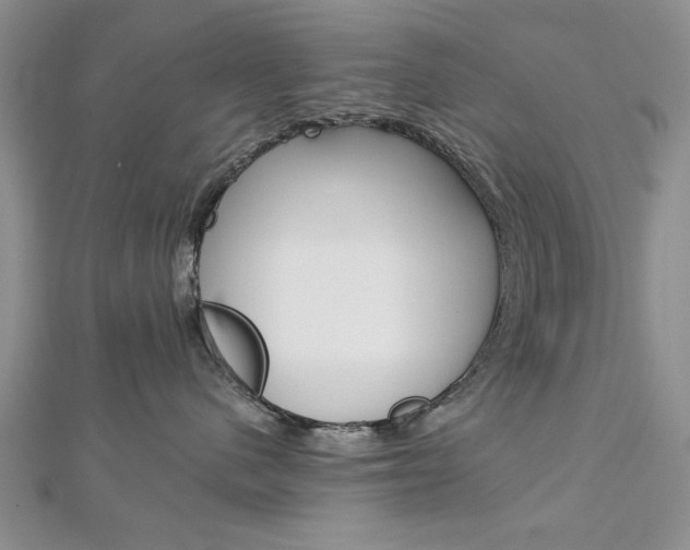 X0000113020480200908271038