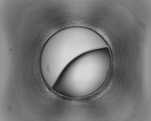 X0000113020481200908271037