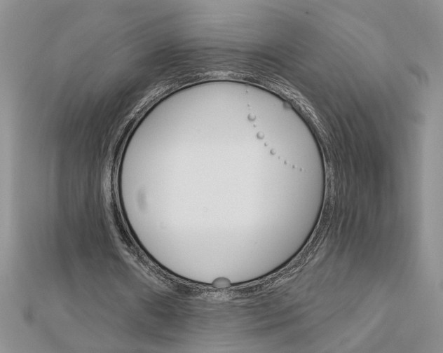 X0000113020482200908271037