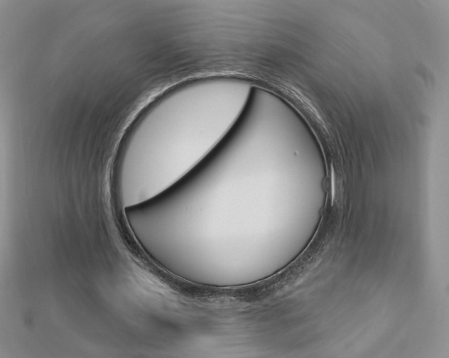 X0000113020483200908271037
