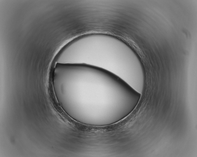 X0000113020484200908271037
