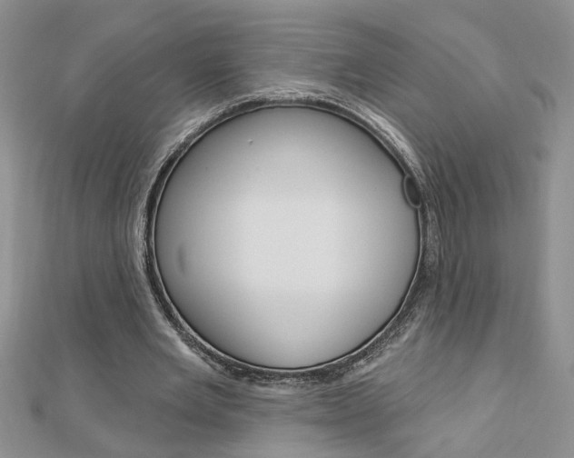 X0000113020485200908271037