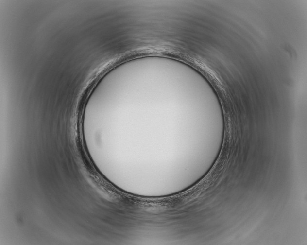 X0000113020486200908271037