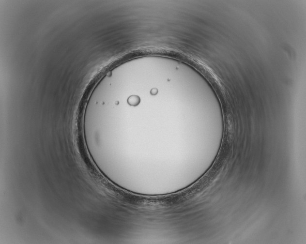 X0000113020487200908271037