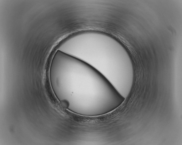 X0000113020488200908271037