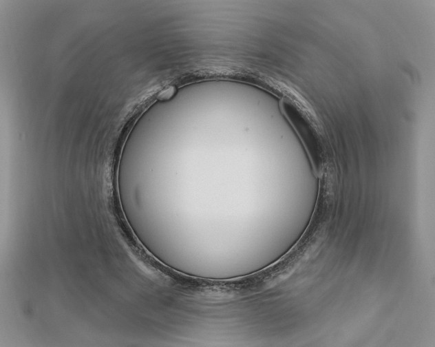 X0000113020489200908271037