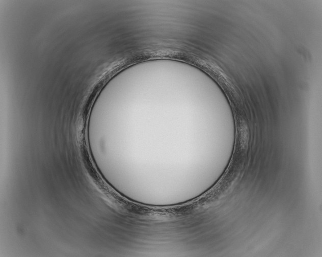 X0000113020490200908271037