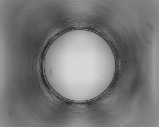 X0000113020491200908271037