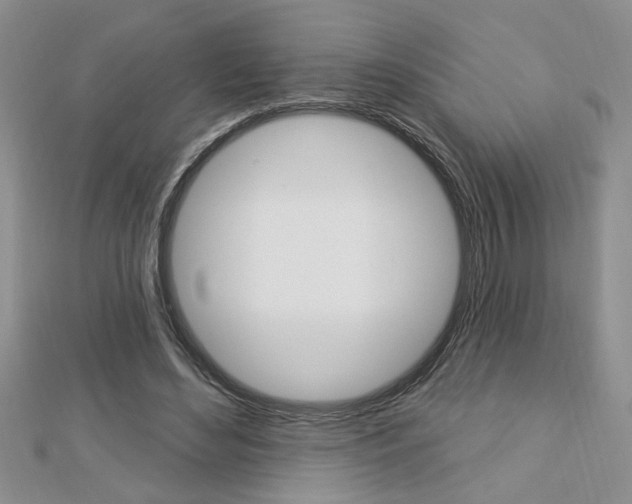 X0000113020492200908271037