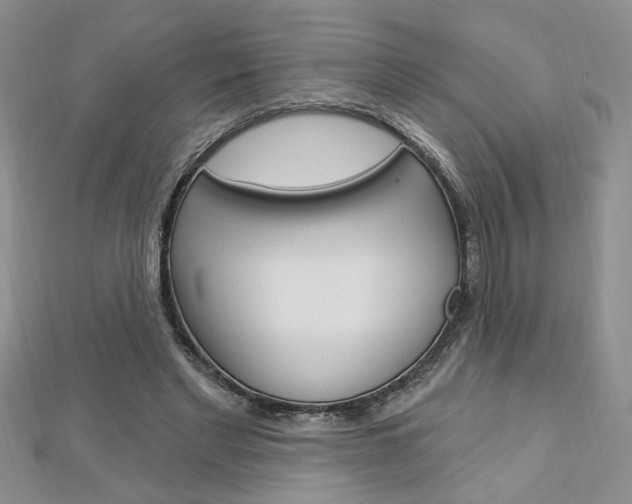 X0000113020493200908271037