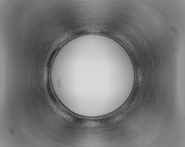 X0000113020494200908271037