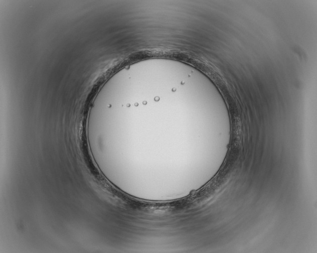 X0000113020495200908271037