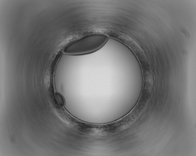 X0000113020496200908271037