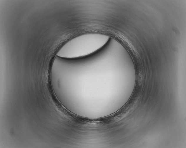 X0000113020497200908271037