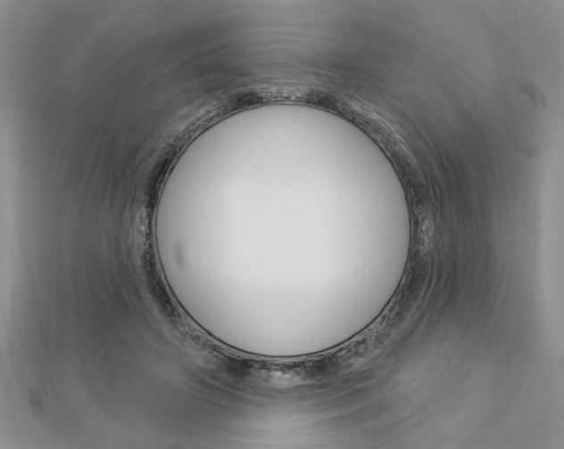 X0000113020498200908271037