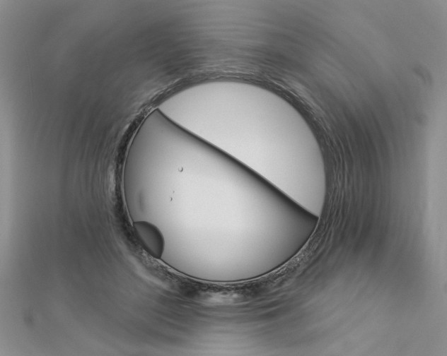 X0000113020500200908271037