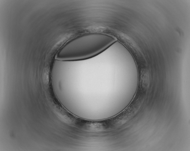 X0000113020501200908271037