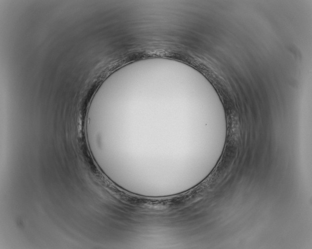 X0000113020502200908271037